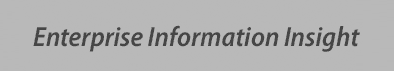 Enterprise Information Insight